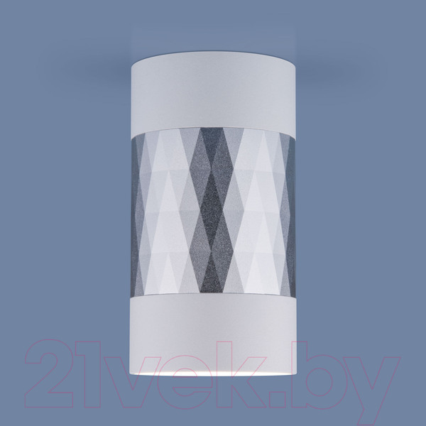 Изображение товара Точечный светильник Elektrostandard DLN110 GU10 (белый/серебристый)