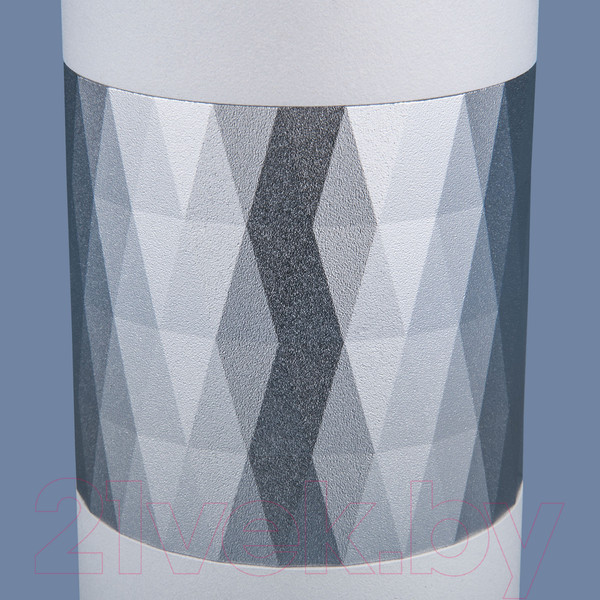 Изображение товара Точечный светильник Elektrostandard DLN110 GU10 (белый/серебристый)