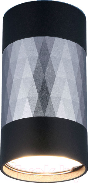 Изображение товара Точечный светильник Elektrostandard DLN110 GU10 (черный/серебристый)