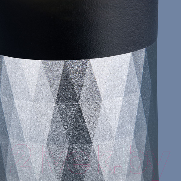 Изображение товара Точечный светильник Elektrostandard DLN110 GU10 (черный/серебристый)