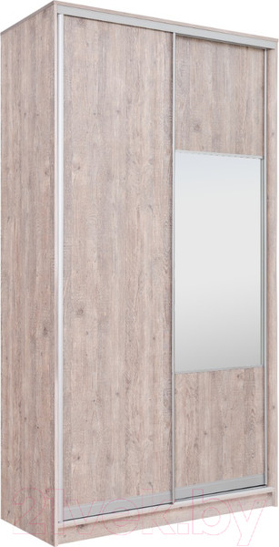 Изображение товара Шкаф-купе Рэйгрупп 120450 SSX Elgon РГ-12.05 (сосна натуральная/хром)