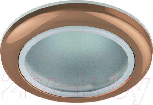 Изображение товара Точечный светильник ЭРА WR1 SC / C0043844