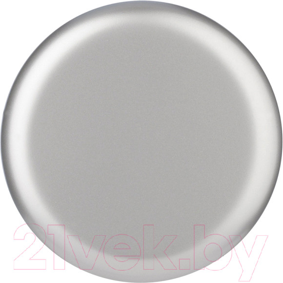 Изображение товара Термокружка Toppoint Flow 98781SV (400мл)