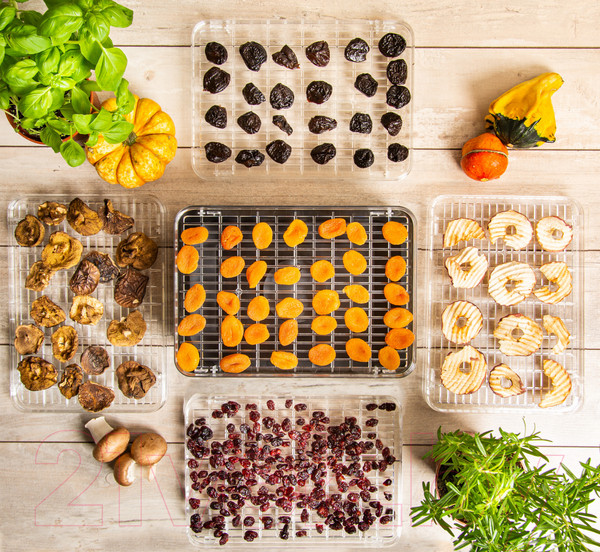 Изображение товара Сушилка для овощей и фруктов FIRST Austria FA-5126-5