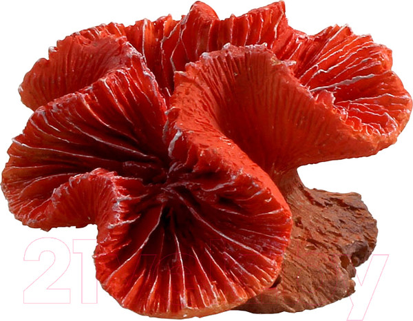 Изображение товара Декорация для аквариума Laguna Каталофиллия 2901LD / 74004104 (красный)