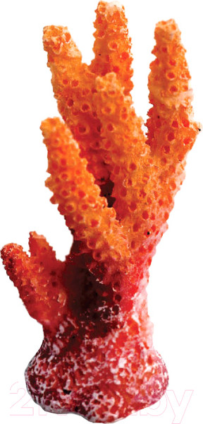 Изображение товара Декорация для аквариума Laguna Синулярия мини 2912LD / 74004137