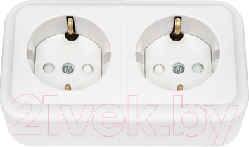 Изображение товара Розетка Bylectrica Пралеска РА16-274 (белый)