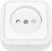 Изображение товара Розетка Bylectrica Пралеска РА16-279 (белый)