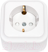 Изображение товара Розетка Bylectrica Пралеска РА16-280 (белый)