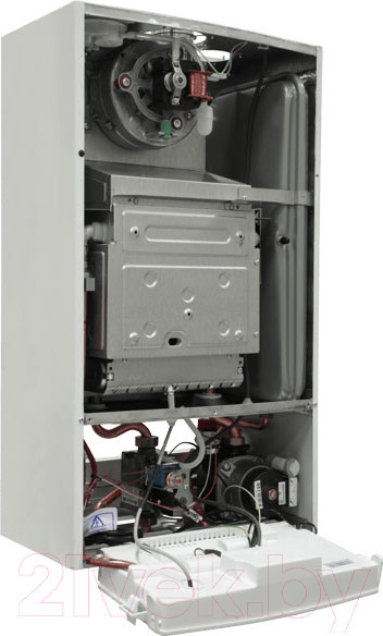 Изображение товара Газовый котел Fondital Antea RBTFS 24