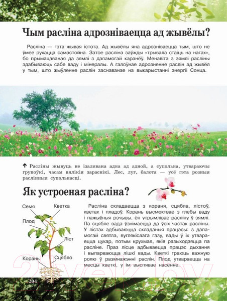 Изображение товара Энциклопедия Харвест Што i адкуль? (Чайка А.)