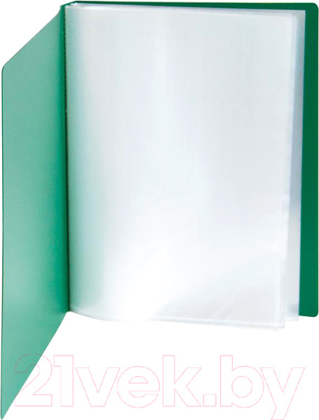 Изображение товара Папка для бумаг Kanzfile 07М-30K (зеленый)