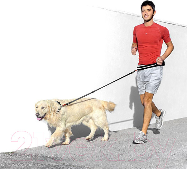 Изображение товара Поводок-пояс Ferplast Ergocomfort Free Time с сумочкой для аксессуаров / 75526917