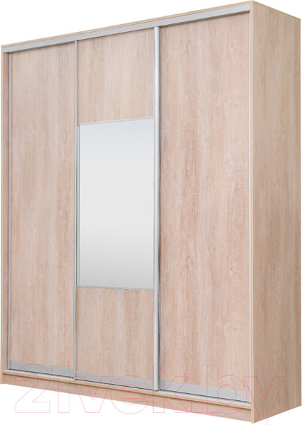 Изображение товара Шкаф-купе Рэйгрупп 203450 TTX Elgon РГ-08.05 (дуб торонто/хром)