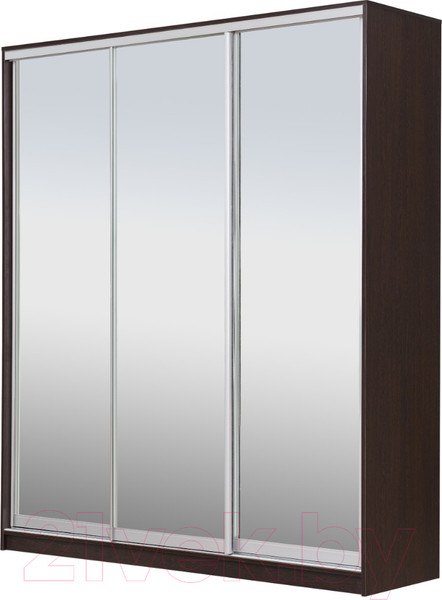 Изображение товара Шкаф-купе Рэйгрупп 203450 VVX Elgon РГ-08.04 (венге/хром)