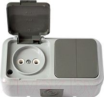 Изображение товара Блок выключатель+розетка Bylectrica Пралеска Аква 2В-РЦ-655 (серый)