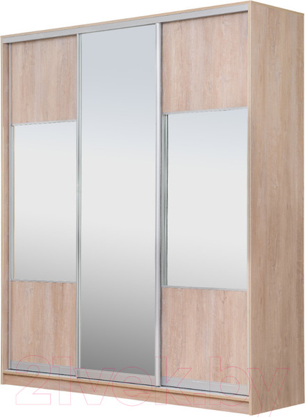 Изображение товара Шкаф-купе Рэйгрупп 233450 TTX Elgon РГ-01.06 (дуб торонто/хром)