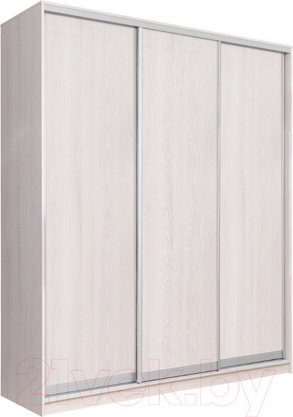 Изображение товара Шкаф-купе Рэйгрупп 176450 YYX Elgon РГ-03.03 (ясень снежный/хром)