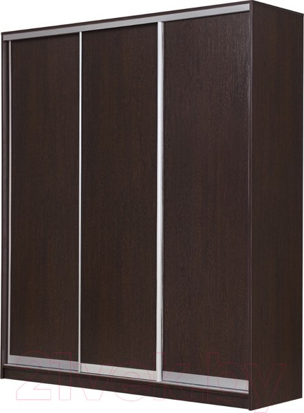 Изображение товара Шкаф-купе Рэйгрупп 233450 VVX Elgon РГ-01.03 (венге/хром)