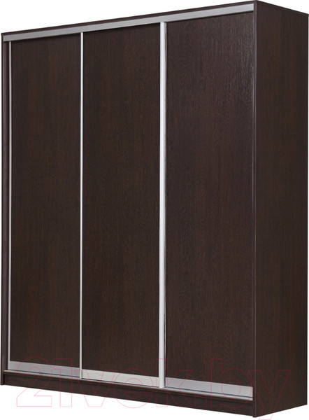 Изображение товара Шкаф-купе Рэйгрупп 203450 VVX Elgon РГ-02.03 (венге/хром)