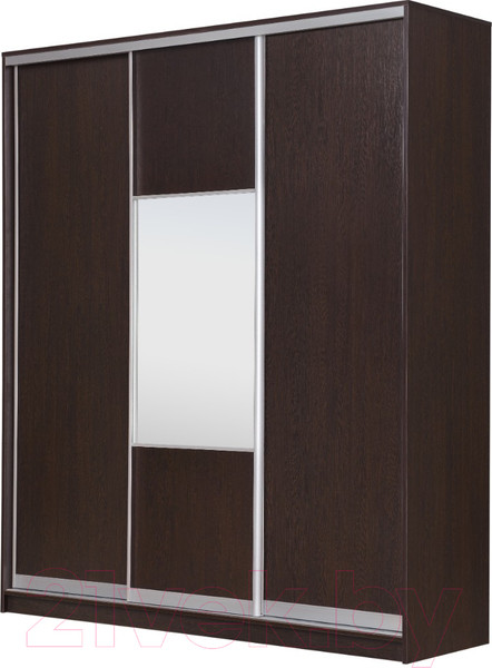 Изображение товара Шкаф-купе Рэйгрупп 203450 VVX Elgon РГ-02.05 (венге/хром)