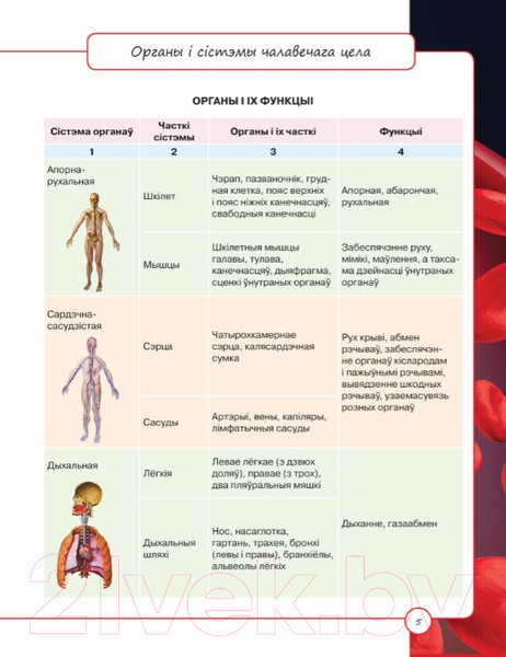 Изображение товара Энциклопедия Харвест Кнiга для кожнай дзяўчынкi