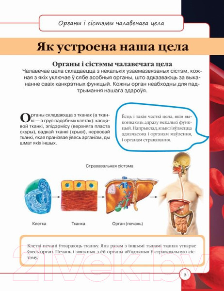 Изображение товара Энциклопедия Харвест Кнiга для кожнай дзяўчынкi