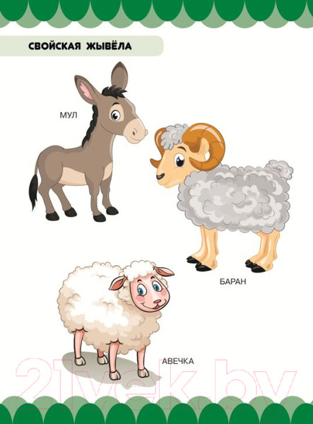 Изображение товара Развивающая книга Харвест У царстве звяроў, птушак i раслiн