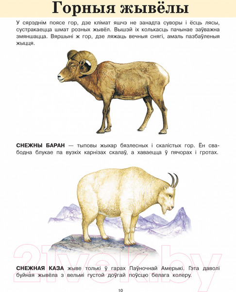 Изображение товара Развивающая книга Харвест Жывелы. Вялiкiя лiтары. Вялiкiя малюнкi