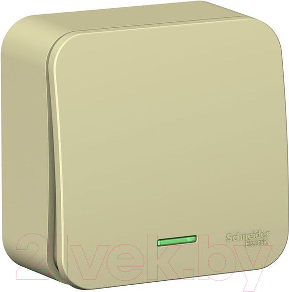 Изображение товара Выключатель Systeme (Schneider) Electric Blanca BLNVA101117