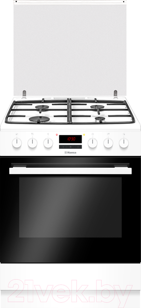 Изображение товара Плита газовая Hansa FCMW68229