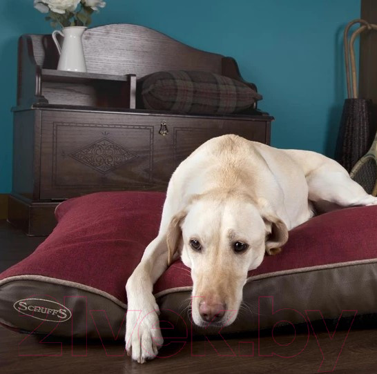 Изображение товара Матрас для животных Scruffs Hilton / 660207 (бордовый)