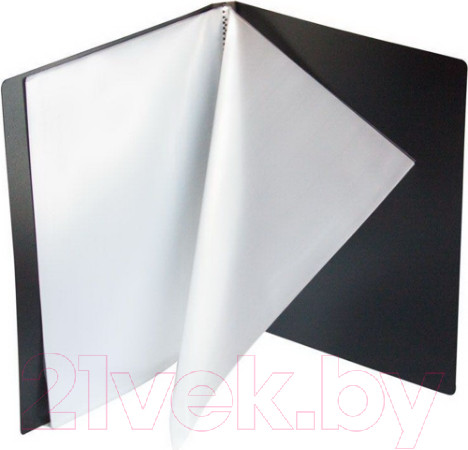 Изображение товара Папка для бумаг Kanzfile 09М-80K (черный)