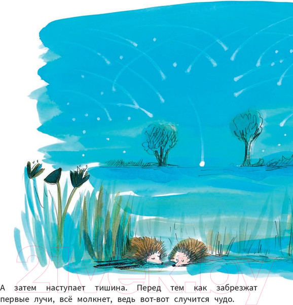 Изображение товара Книга Попурри Рождение Крошки-Малышки (Кимико)