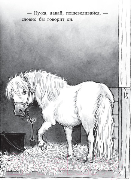 Изображение товара Художественная книга Попурри Вперёд, Сигге! (Халлберг Л.)