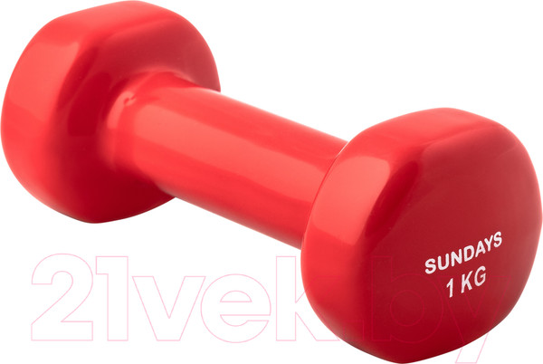 Изображение товара Гантель Sundays Fitness IR92005 (1кг, красный)