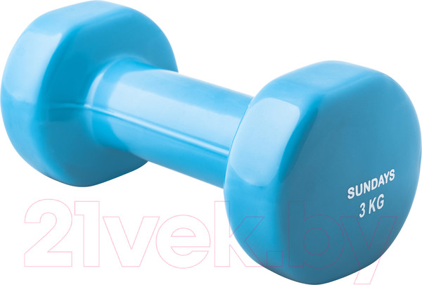 Изображение товара Гантель Sundays Fitness IR92005 (3кг, голубой)