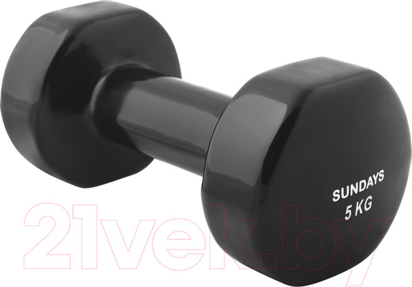 Изображение товара Гантель Sundays Fitness IR92005 (5кг, черный)