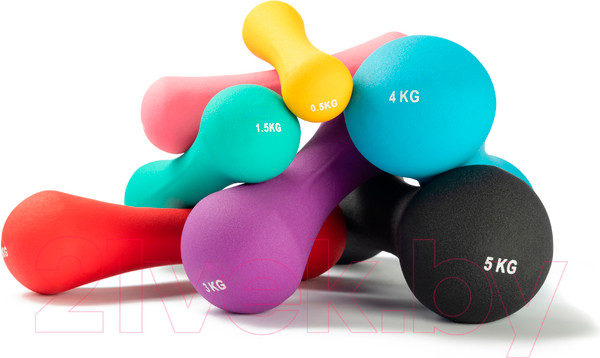 Изображение товара Гантель Sundays Fitness IR92004-D (4кг, голубой)