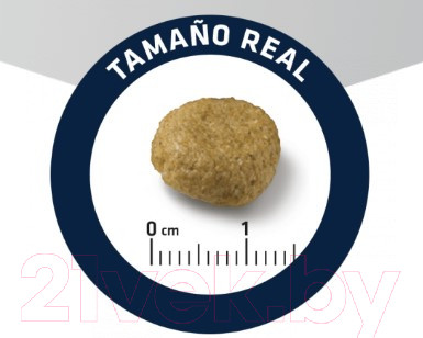 Изображение товара Сухой ветеринарный корм для собак Advance VetDiet Atopic No Grain с кроликом (12кг)
