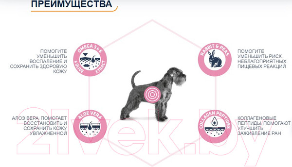 Изображение товара Сухой ветеринарный корм для собак Advance VetDiet Atopic No Grain с кроликом (12кг)