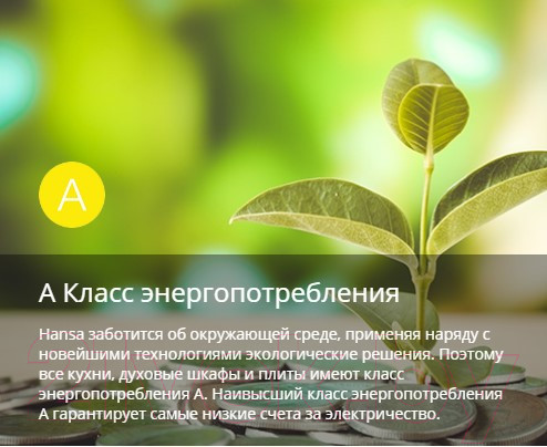 Изображение товара Плита электрическая Hansa FCEW56069