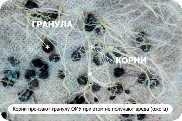 Изображение товара Удобрение Буйские удобрения ОМУ Газонное (10кг)