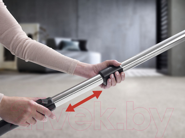 Изображение товара Пылесос Miele SGDA3 Complete C3 Score Red / 41GDA344RU (ежевичный красный)