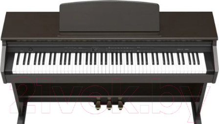 Изображение товара Цифровое фортепиано Orla CDP 1 Rosewood