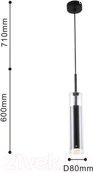 Изображение товара Потолочный светильник FAVOURITE Aenigma 2556-1P