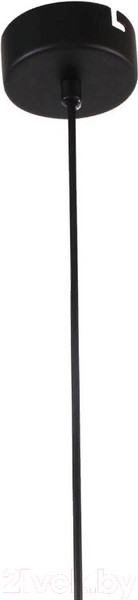 Изображение товара Потолочный светильник FAVOURITE Aenigma 2556-1P