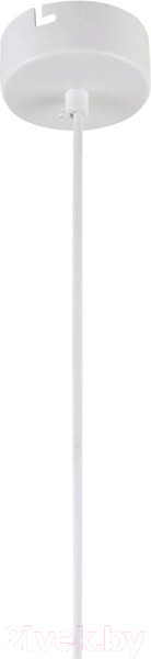 Изображение товара Потолочный светильник FAVOURITE Aenigma 2557-1P