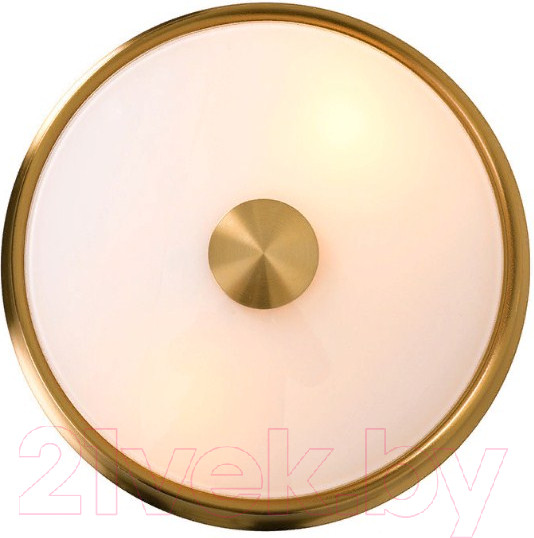 Изображение товара Потолочный светильник FAVOURITE Pannikin 2375-2C