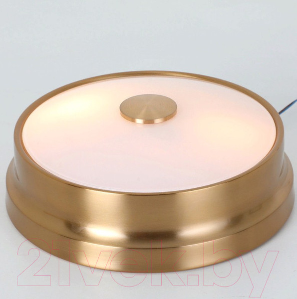 Изображение товара Потолочный светильник FAVOURITE Pannikin 2375-2C